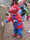Hungrige Ziegen (19.04.2008)
