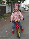 Tomke lernt Laufradfahren (15.10.08)